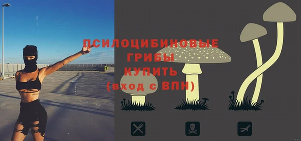 твердый Верея